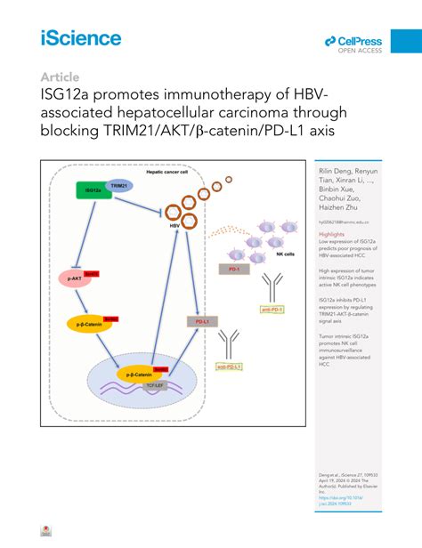 PDF ISG12a Promotes Immunotherapy Of HBV Associated Hepatocellular