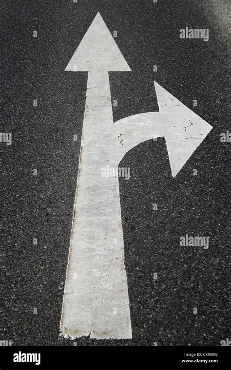 Road Marking With A Right Turn Arrow And A Straight Arrow Stock Photo