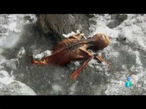 Otzi El Hombre De Los Hielos Documental YouTube