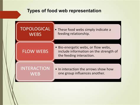 Lecture Ppt Food Chain Food Web Ecological Pyramids Ppt