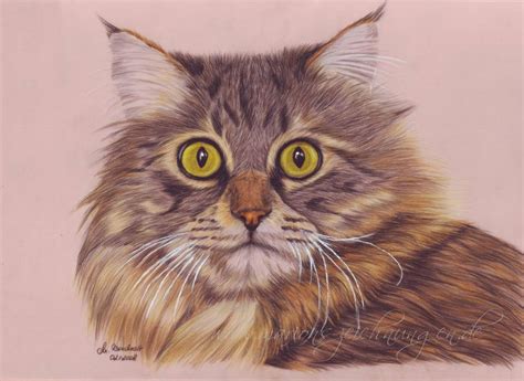 Maine Coon By Witchiart On Deviantart