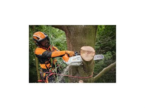 STIHL Motorsav MSA 220 TC O Ekskl Batteri Og Lader Kalundborg Skov