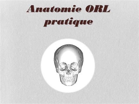 Anatomie Orl Pratique Pdf Etude Az