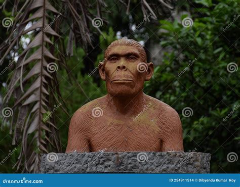 Sculpture of Habilis at Science Museum Editorial Stock Image - Image of ...