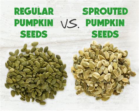 10 Top Reasons To Love Sprouted Pumpkin Seeds – Go Raw