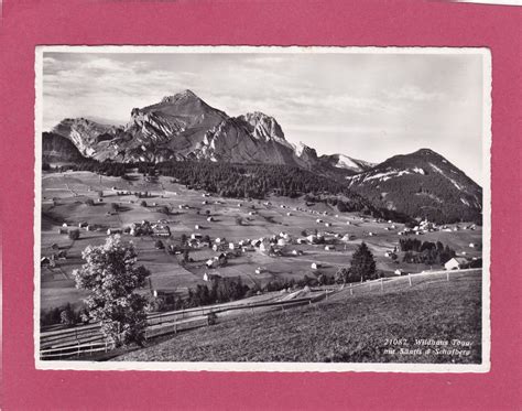 Wildhaus Mit S Ntis Schafberg Kaufen Auf Ricardo