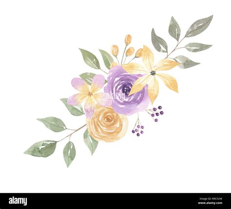 Purple Watercolor Flowers Hi Res Stock Photography And Images Alamy