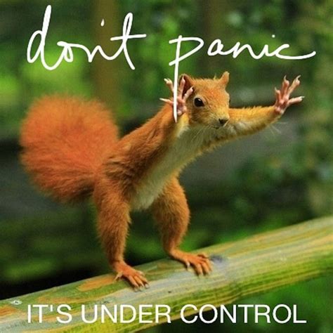 Don T Panic It S Under Control Guten Morgen Lustig Lustige Guten