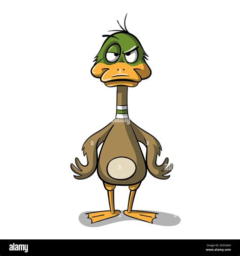 Canard de dessin animé en colère Photo Stock Alamy