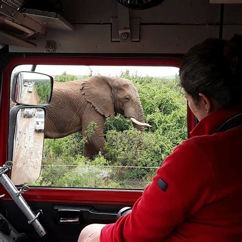 Alen On Le Voyage Extraordinaire D Une Famille En Afrique Et En Camion