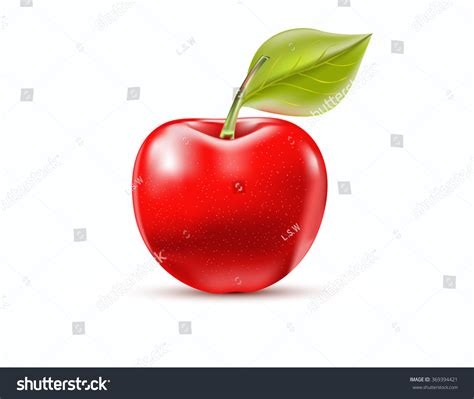 Vector Red Apple Green Leaf Isolated Stock Vector Royalty Free