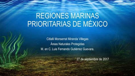 Regiones marinas prioritarias de méxico PPT