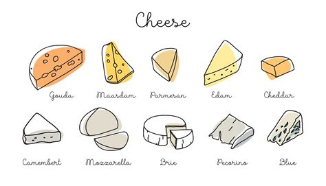 Types Of Cheese Chart