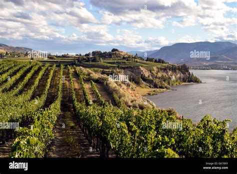 Okanagan Valley Winery Vineyards Naramata And Penticton British