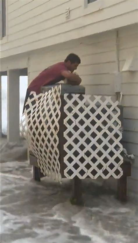 Florida man rescues stranded cat during Hurricane Ian