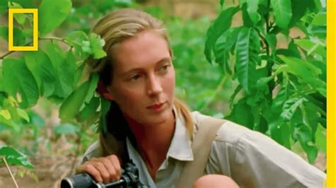 Young Jane Goodall Telegraph