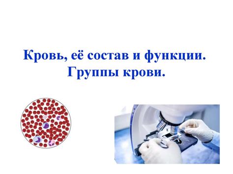Кровь, её состав и функции. Группы крови - презентация онлайн