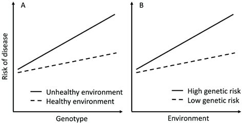 An Example Of Gene Environment Interaction A The Association Between Download Scientific