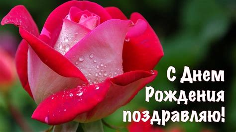 ХРИСТИАНСКОЕ ПОЗДРАВЛЕНИЕ - YouTube
