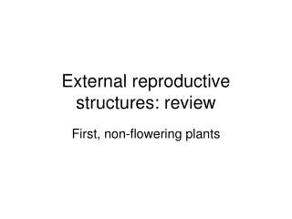 Ppt External Female Sex Organs And Reproductive Structures Powerpoint