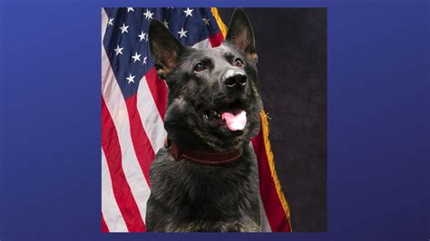 Cspd K9 Creed To Receive Donation Of Body Armor Krdo