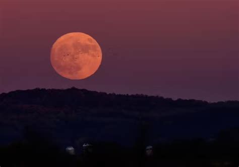 Superlua de esturjão poderá ser vista nesta terça feira no Brasil