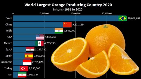 The Largest Countries In The World 2020 Swedishnomadcom