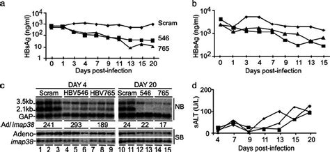 Inhibition Of Hbv Gene Expression In Vivo After Adenovirus Delivery Of