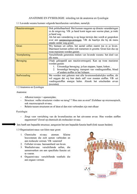 Samenvatting Hfst 1 ANATOMIE EN FYSIOLOGIE Inleiding Tot De Anatomie