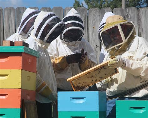 The Peace Bee Farmer Uca Entomology