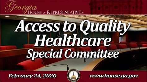 Georgia 2020 House Appropriations Access To Quality Healthcare Day 17 Youtube