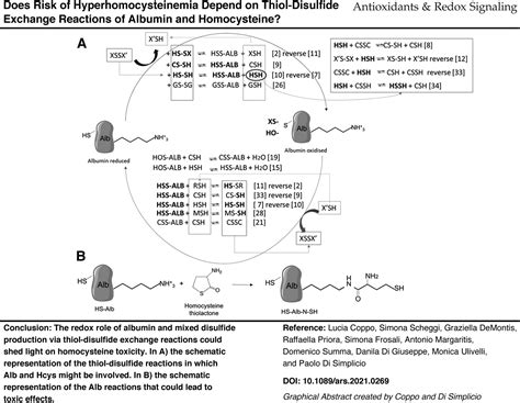 Does Risk Of Hyperhomocysteinemia Depend On Thiol Disulfide Exchange