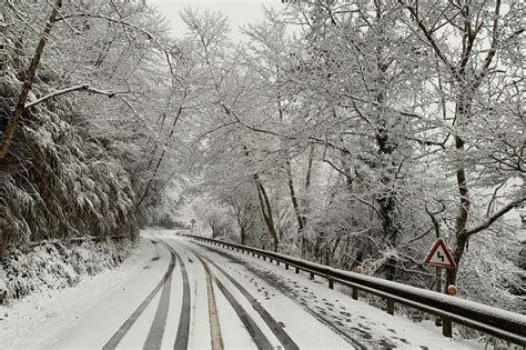 冰封太平山積雪15公分 清早爆出賞雪車潮「售票口前已回堵6公里」 上報 焦點