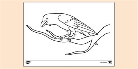 FREE Crow Sitting On Branch Colouring Sheet Colouring Sheets