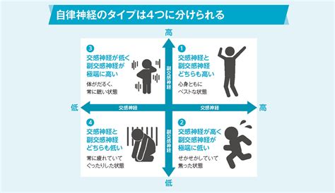 あなたはどのタイプ？自律神経には4つのタイプがある！【眠れなくなるほど面白い 図解 自律神経の話】 ラブすぽ