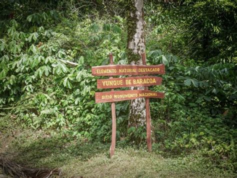 A Guide To El Yunque National Park Near Baracoa Ulysses Travel