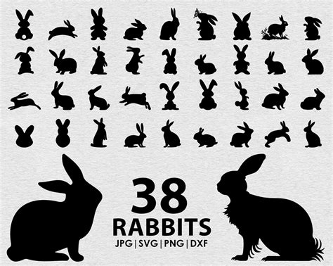 Rabbit Svg Bundle Easter Bunny Svg Rabbit Silhouette For Etsy