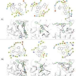 Schematic representation of the ABL kinase domains with the binding ...