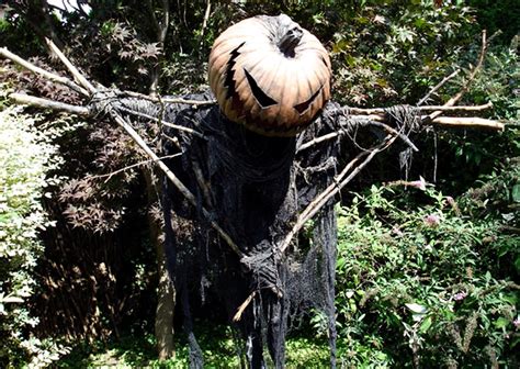 10+ Halloween Scarecrow Decorations for Fright and Fun