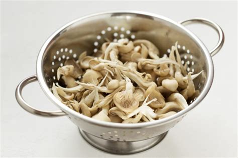 Champignons Lagern So Bleiben Sie Lange Frisch