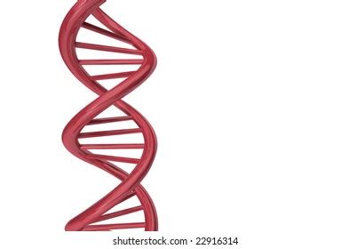 Dna Ladder Concept Stock Illustration 49167106 | Shutterstock