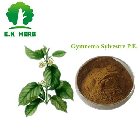 E K Herb Food Additives 25 75 Gymnemic Acids Gymnema Extract CAS No