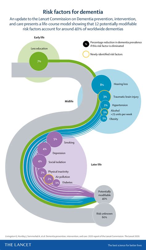 Risk Factors For Dementia Infographics