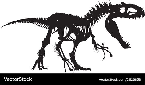 Dinosaur Skeleton Royalty Free Vector Image Vectorstock