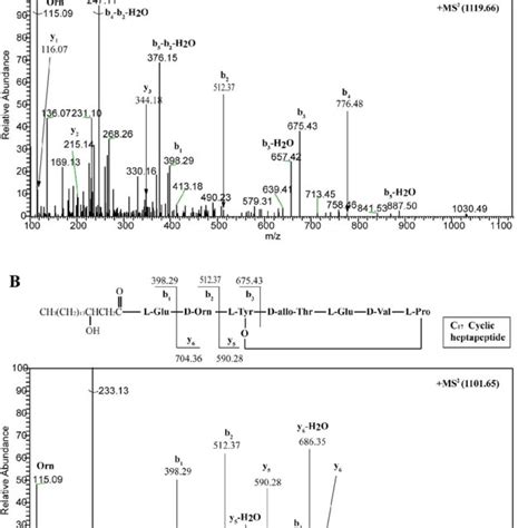 Liquid Chromatography Electrospray Ionization Tandem Mass Spectra Of [m Download Scientific