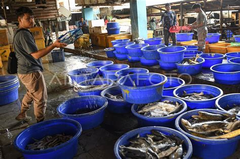 Kebijakan Penangkapan Ikan Terukur ANTARA Foto