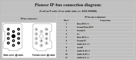 Pinout Pioneer Ip Bus