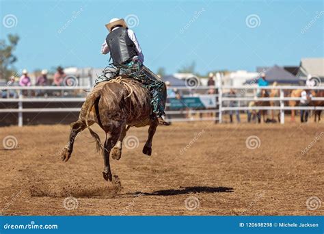 Cowboy Riding a Bucking Bull at a Country Rodeo Stock Photo - Image of ...