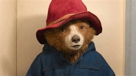 Paddington 3 Release Date Reviews Cast And Everything Else You Need To Know Gamesradar