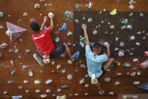 Latihan Boulder Pelatnas Panjat Tebing Antara News